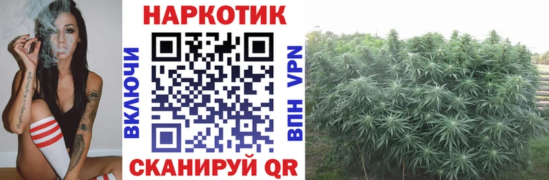 Наркошоп купить COCAIN  КЕТАМИН  АМФЕТАМИН  Гашиш  Галлюциногенные грибы  А ПВП  МЕФ  Нефтекумск