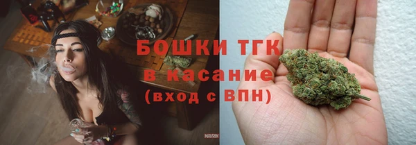 первитин Инсар