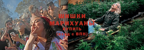 первитин Инсар