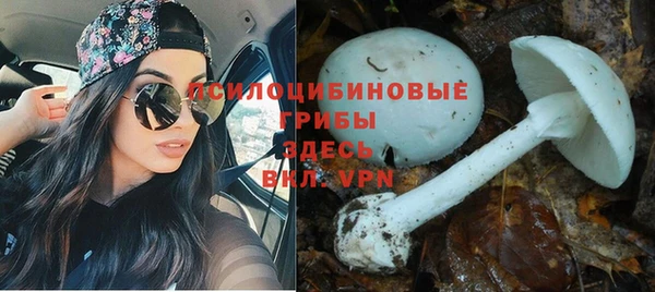 соль курить ск Иннополис