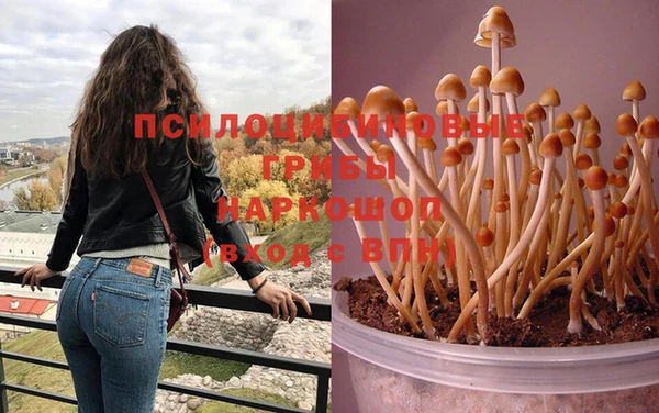 меф Инта