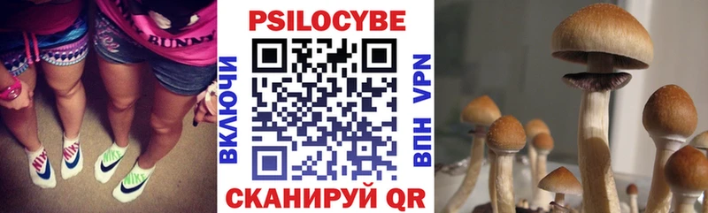 Псилоцибиновые грибы Cubensis Нефтекумск